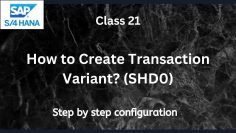 How to Create Transaction Variant (SHD0) |SAP S4 Hana FI-Financial Accounting | Class-21