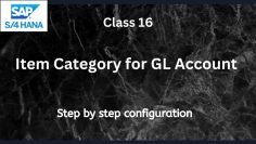 Item Category of GL Account |SAP S4 Hana FI-Financial Accounting | Class-16