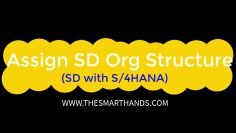 SAP S/4HANA SD Training:  Assign SD Organization Structure