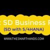 SAP S/4HANA SD Training –  Basic SD Business Roles | SAP S4 HANA SD Videos