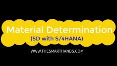 SAP S/4HANA SD Training –  Material Determination | SAP S4 HANA SD Videos