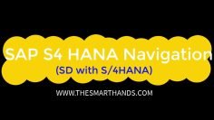 SAP S/4HANA SD Training –  SAP Navigation (Video3)