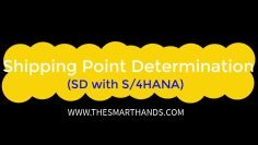 SAP S/4HANA SD Training –  Shipping Point Determination | SAP S4 HANA SD Videos