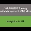Video 02 – SAP S/4HANA Quality Management (QM) module training – Navigation in SAP