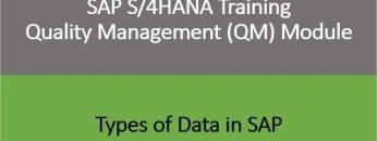 Video 04 – SAP S/4HANA Quality Management (QM) module training – Types of data in SAP.