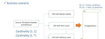 Video 20: CDS View Cardinality in association process