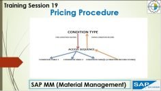 19 SAP MM Pricing Procedure #sap #sapmm #pricing #procedure #schema #condition #trainning
