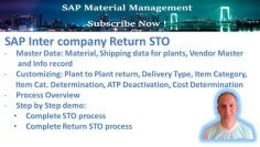 SAP Inter-company Return STO (Stock Transport Order)