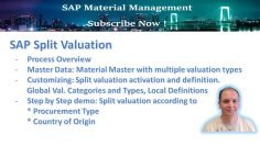 SAP Split Valuation
