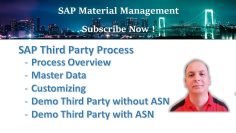 SAP Third Party Process<div class="yasr-vv-stars-title-container"><div class='yasr-stars-title yasr-rater-stars'
                          id='yasr-visitor-votes-readonly-rater-0b0627bc525b6'
                          data-rating='0'
                          data-rater-starsize='16'
                          data-rater-postid='916'
                          data-rater-readonly='true'
                          data-readonly-attribute='true'
                      ></div><span class='yasr-stars-title-average'>0 (0)</span></div>