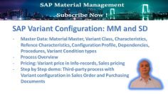 SAP Variant Configuration with Third-party process (MM / SD)<div class="yasr-vv-stars-title-container"><div class='yasr-stars-title yasr-rater-stars'
                          id='yasr-visitor-votes-readonly-rater-67a590ba12062'
                          data-rating='0'
                          data-rater-starsize='16'
                          data-rater-postid='942'
                          data-rater-readonly='true'
                          data-readonly-attribute='true'
                      ></div><span class='yasr-stars-title-average'>0 (0)</span></div>