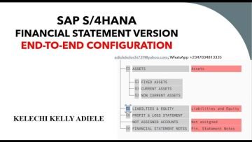 SAP FINANCIAL STATEMENT VERSION- (FSV)